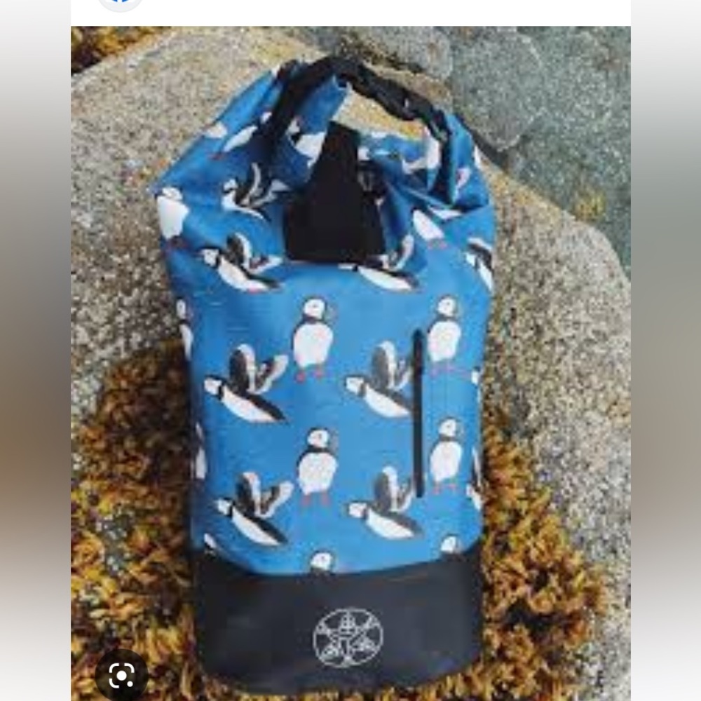 ISO Salmon Sisters Dry Bag Backpack
